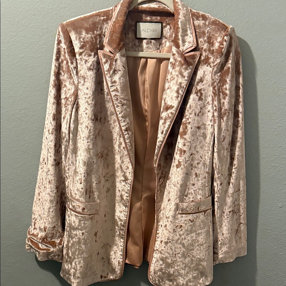 Alexie Women's crushed Velvet Blazer - blush in color